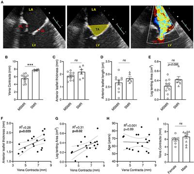 Integration of Functional Imaging, Cytometry, and Unbiased Proteomics Reveals New Features of Endothelial-to-Mesenchymal Transition in Ischemic Mitral Valve Regurgitation in Human Patients